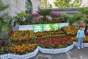 Balram Flowers